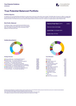 Balanced Portfolio Factsheet